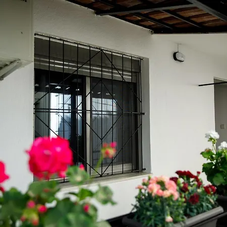 Paro's Daily דירה *